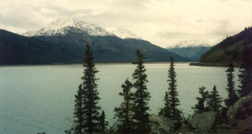 Der Kluane Lake