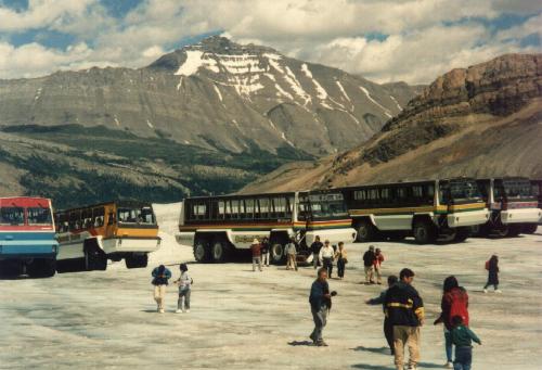 Der Athabaska Glacier