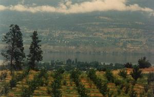 Okanagan Valley